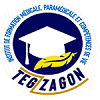 TEGZAGON Institute